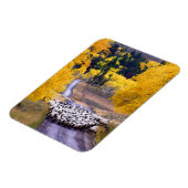 Schafe auf der Landstraße Magnet (Linke Seite)