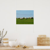 Schafe auf einem Hügelposter Poster (Küche)