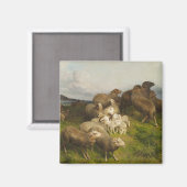 Schafe auf einer Wiese (von August Friedrich Schen Magnet (Vorderseite/Rückseite)