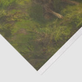 Schafe auf einer Wiese (von August Friedrich Schen Seidenpapier (Ausschnitt)