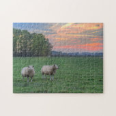 Schafe auf Feld mit Sonnenuntergang Puzzle (Horizontal)