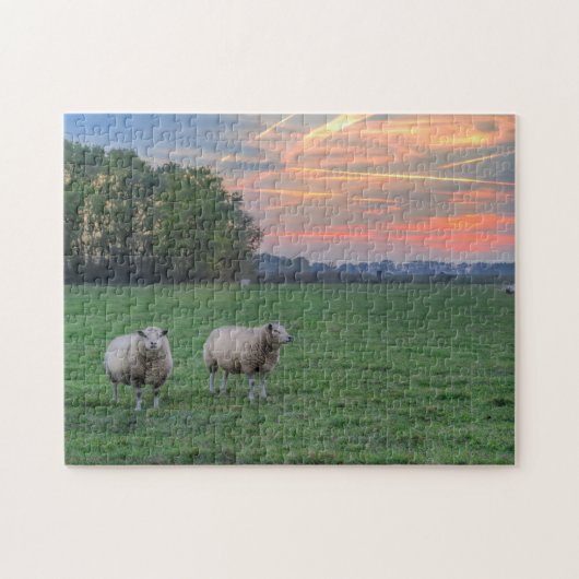 Schafe auf Feld mit Sonnenuntergang Puzzle (Horizontal)
