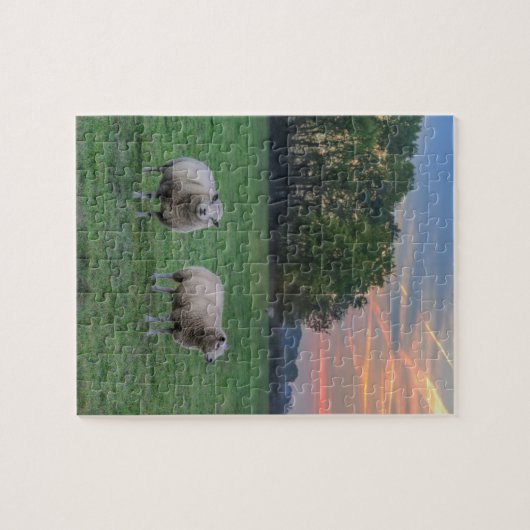 Schafe auf Feld mit Sonnenuntergang Puzzle (Horizontal)