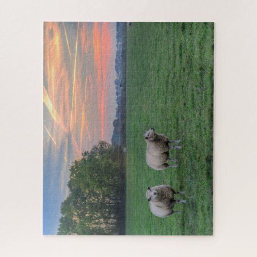 Schafe auf Feld mit Sonnenuntergang Puzzle (Vertikal)