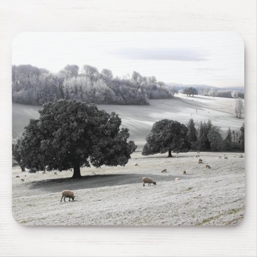 Schafe auf frostigem Feld Mousepad (Vorne)