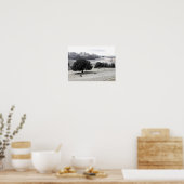 Schafe auf frostigem Feld Poster (Küche)