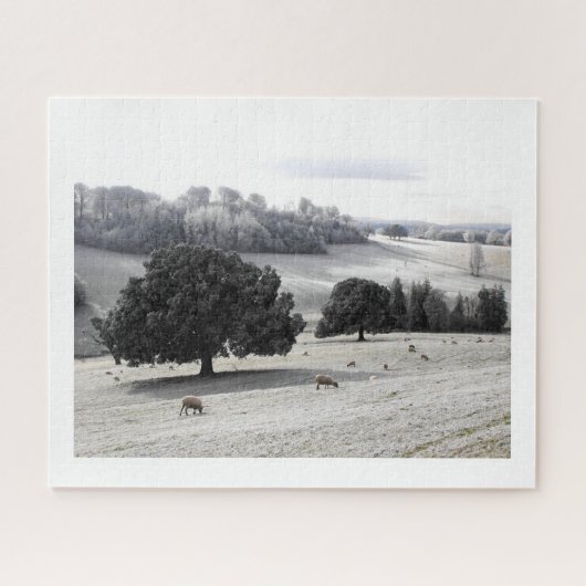 Schafe auf frostigem Feld Puzzle (Horizontal)