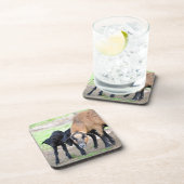 Schafe auf Kamerun mit Lämmern Getränkeuntersetzer (Rechte Seite)