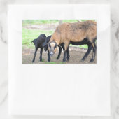 Schafe auf Kamerun mit Lämmern Rechteckiger Aufkleber (Tasche)