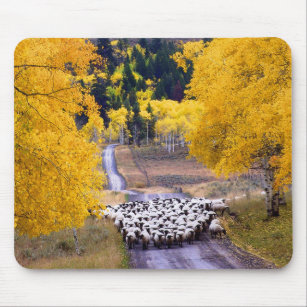 Schafe auf Land-Straße Mousepad