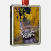 Schafe auf Land-Straße Silbernes Ornament (Rechts)