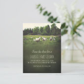 Schafe auf Weide | Wiedersehen Save the Date Ankündigungspostkarte (Stehend Vorderseite)