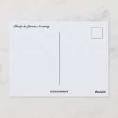 Schafe bei Sunset in JæNorwegen Postkarte (Rückseite)