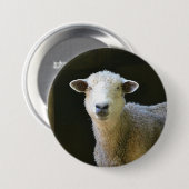 Schafe Button (Vorne & Hinten)