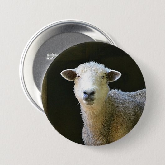 Schafe Button (Vorne & Hinten)