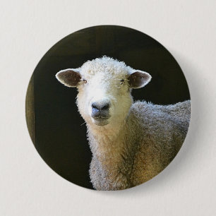 Schafe Button