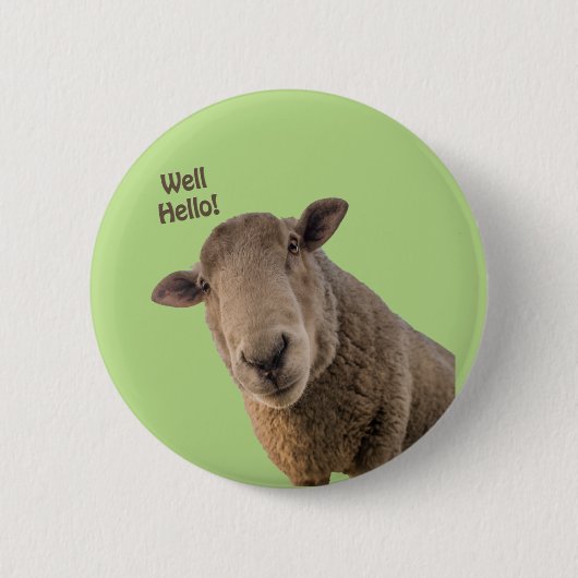 Schafe Button (Vorderseite)