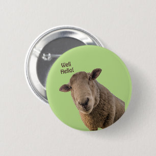 Schafe Button