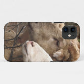 Schafe Case-Mate iPhone Hülle (Rückseite (Horizontal))