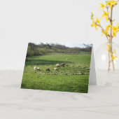 Schafe, die ein Labyrinth - Stille weiden lassen Karte (Gelbe Blume)