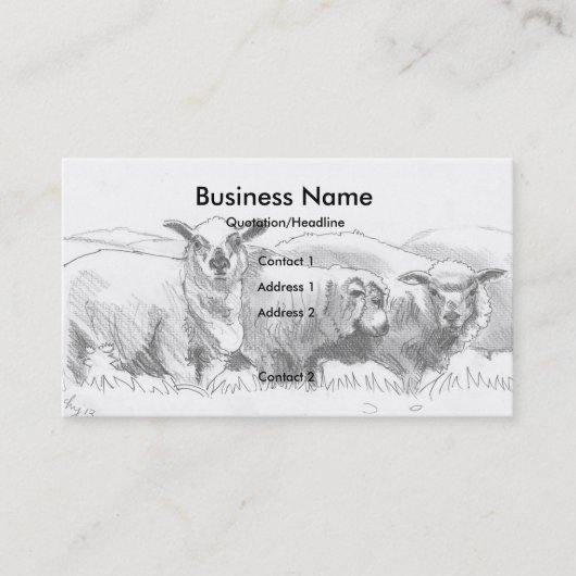 Schafe, die Geschäfts-Karten zeichnen Visitenkarte (Vorderseite)
