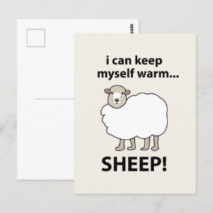 Schafe, die ich selbst warm halten kann Schafe Postkarte
