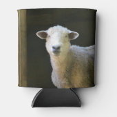 Schafe Dosenkühler (Vorderseite)