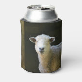 Schafe Dosenkühler (Kanne Rückseite)