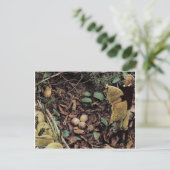 Schafe - einladungspostkarte (Stehend Vorderseite)