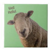 Schafe Fliese (Vorderseite)