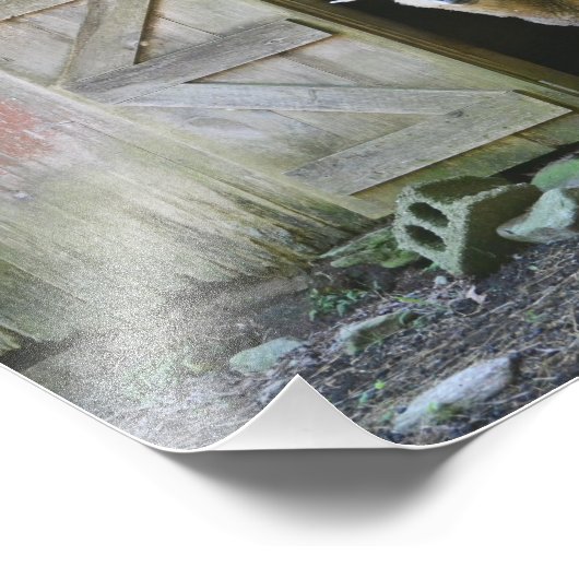 Schafe Fotodruck (Ecke)