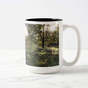 Schafe fotografieren zweifarbige tasse