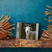 Schafe Fotoplatte (Seite)