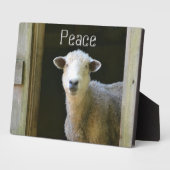 Schafe Fotoplatte (Seite)