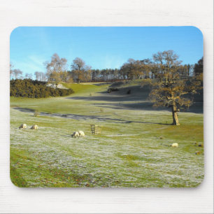 Schafe im frostigen Tal Mousepad
