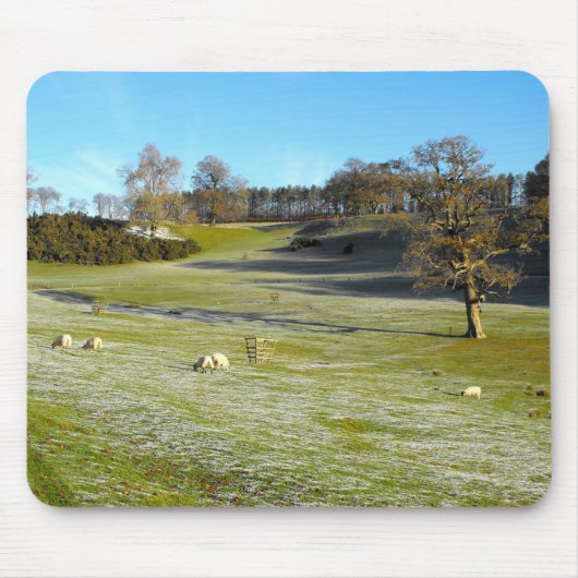 Schafe im frostigen Tal Mousepad (Vorne)
