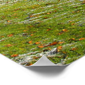 Schafe im frostigen Tal Poster (Ecke)