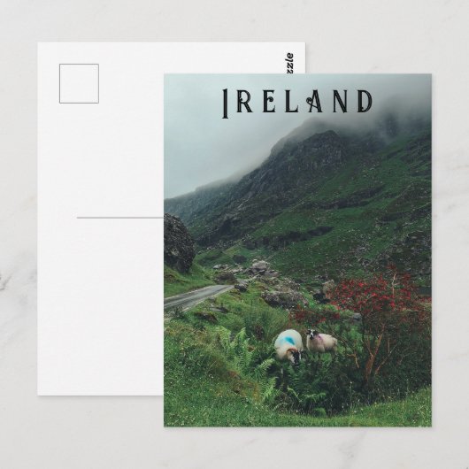 Schafe im Nebel Postkarte (Vorne/Hinten)