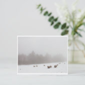 Schafe im Nebel Postkarte (Stehend Vorderseite)