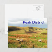 Schafe im Peak District Postkarte (Vorne/Hinten)