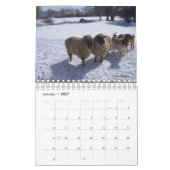 Schafe im Ranch-Kalender Kalender (Jan 2027)