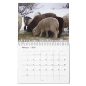 Schafe im Ranch-Kalender Kalender (Feb 2027)
