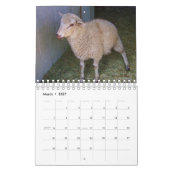 Schafe im Ranch-Kalender Kalender (Mär 2027)