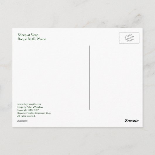 Schafe im Schlaf Postkarte (Rückseite)