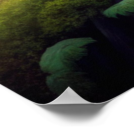 Schafe im Wald Poster (Ecke)