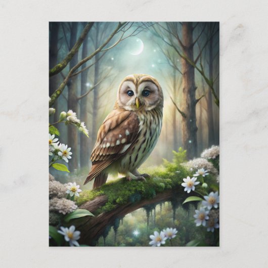 Schafe im Wald Postkarte (Vorderseite)