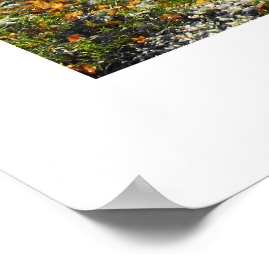 Schafe im Winter Poster (Ecke)