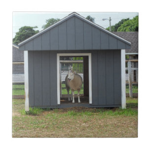 Schafe in BarnHouse Tile Fliese