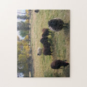 Schafe in der Weide Puzzle (Vertikal)