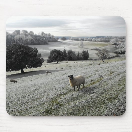 Schafe in einem frostigen Tal Mousepad (Vorne)